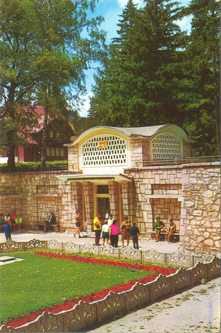 2034-4 - Borsec. Izvorul principal de apă minerală